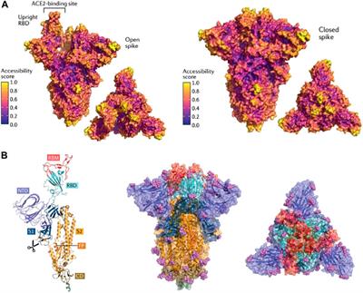 Using nanomaterials to address SARS-CoV-2 variants through development of vaccines and therapeutics